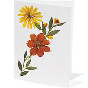 Pressed Flower notecards - Hope for Women